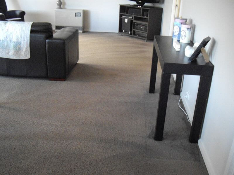 Dry Cleaning Mick's Carpet Cleaning Ballarat